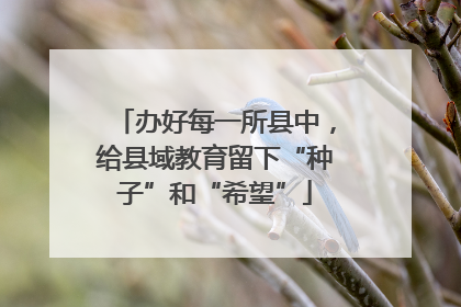 办好每一所县中，给县域教育留下“种子”和“希望”