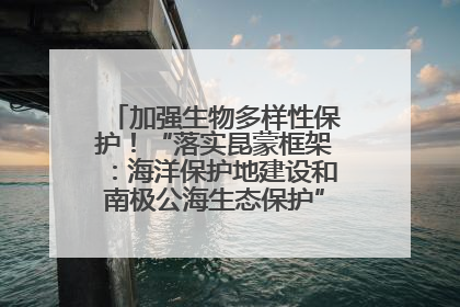 加强生物多样性保护！“落实昆蒙框架：海洋保护地建设和南极公海生态保护”主题论坛将举办