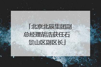 北京北辰集团副总经理胡浩获任石景山区副区长