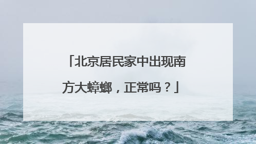 北京居民家中出现南方大蟑螂，正常吗？