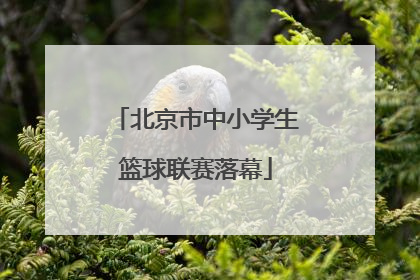 北京市中小学生篮球联赛落幕