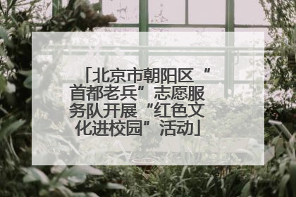 北京市朝阳区“首都老兵”志愿服务队开展“红色文化进校园”活动
