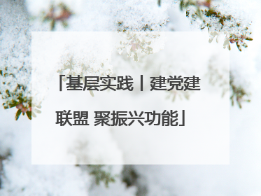 基层实践丨建党建联盟 聚振兴功能