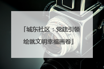 城东社区：党建引领绘就文明幸福画卷
