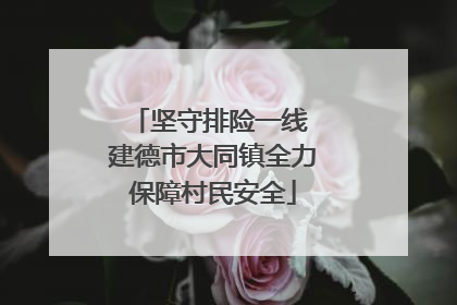 坚守排险一线 建德市大同镇全力保障村民安全
