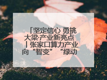 坚定信心 勇挑大梁·产业新亮点丨张家口算力产业向“智变”“绿动”跃升