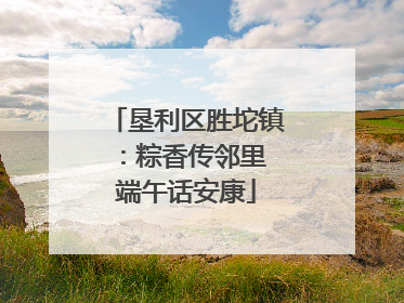 垦利区胜坨镇：粽香传邻里 端午话安康