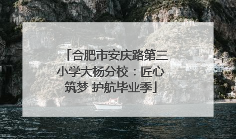 合肥市安庆路第三小学大杨分校：匠心筑梦 护航毕业季