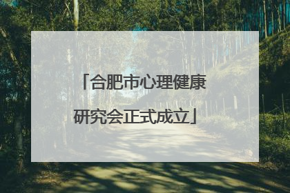 合肥市心理健康研究会正式成立