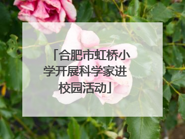合肥市虹桥小学开展科学家进校园活动
