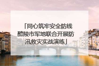 同心筑牢安全防线 醴陵市军地联合开展防汛救灾实战演练