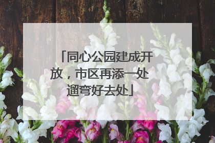 同心公园建成开放，市区再添一处遛弯好去处