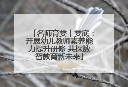 名师育娄丨娄底：开展幼儿教师素养能力提升研修 共探数智教育新未来