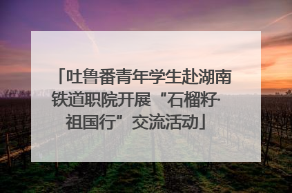 吐鲁番青年学生赴湖南铁道职院开展“石榴籽·祖国行”交流活动