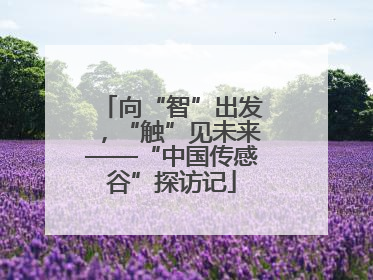 向“智”出发，“触”见未来——“中国传感谷”探访记