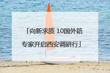 向新求质 10国外籍专家开启西安调研行