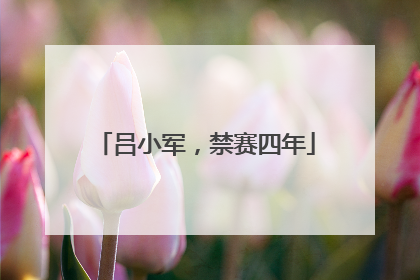 吕小军，禁赛四年