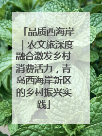 品质西海岸｜农文旅深度融合激发乡村消费活力，青岛西海岸新区的乡村振兴实践