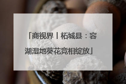 商视界丨柘城县：容湖湿地葵花竞相绽放