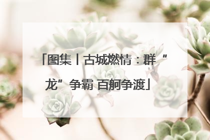 图集丨古城燃情：群“龙”争霸 百舸争渡