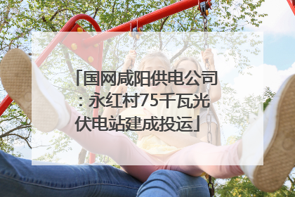 国网咸阳供电公司：永红村75千瓦光伏电站建成投运