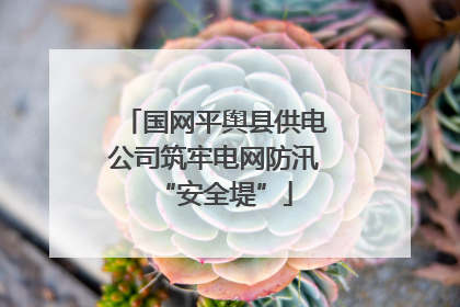 国网平舆县供电公司筑牢电网防汛“安全堤”