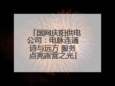 国网庆阳供电公司：电脉连通诗与远方 服务点亮露营之光