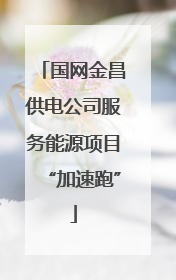 国网金昌供电公司服务能源项目“加速跑”