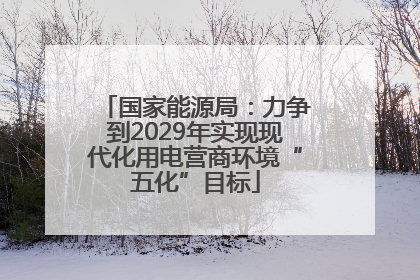 国家能源局：力争到2029年实现现代化用电营商环境“五化”目标