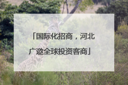 国际化招商，河北广邀全球投资客商
