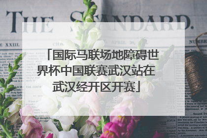 国际马联场地障碍世界杯中国联赛武汉站在武汉经开区开赛