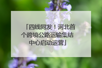 四线同发！河北首个跨境公路运输集结中心启动运营
