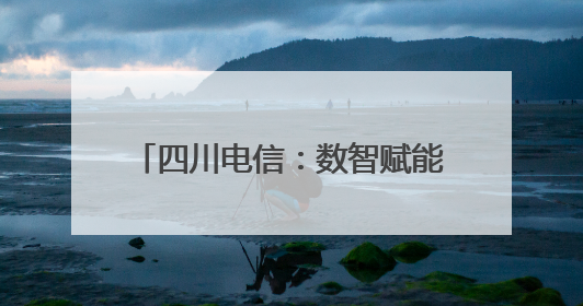 四川电信：数智赋能织密“普遍服务网”，绘就巴蜀新画卷