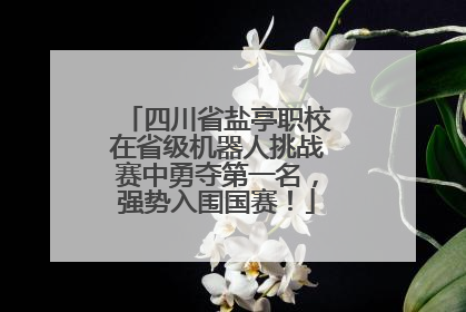 四川省盐亭职校在省级机器人挑战赛中勇夺第一名，强势入围国赛！