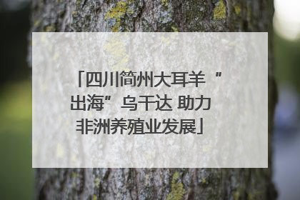 四川简州大耳羊“出海”乌干达 助力非洲养殖业发展