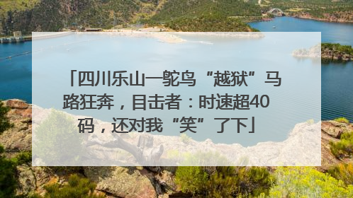 四川乐山一鸵鸟“越狱”马路狂奔，目击者：时速超40码，还对我“笑”了下
