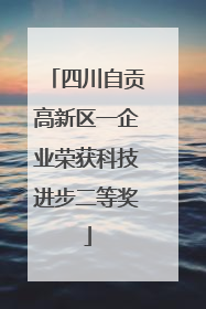 四川自贡高新区一企业荣获科技进步二等奖