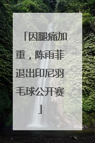 因腿痛加重，陈雨菲退出印尼羽毛球公开赛