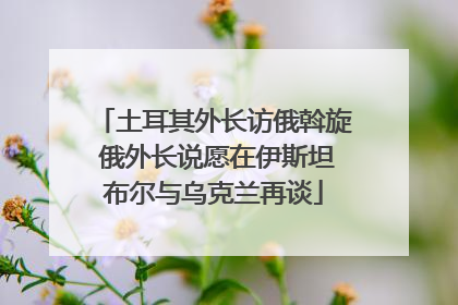 土耳其外长访俄斡旋 俄外长说愿在伊斯坦布尔与乌克兰再谈