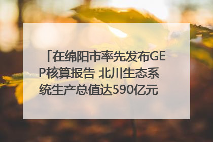 在绵阳市率先发布GEP核算报告 北川生态系统生产总值达590亿元｜新闻发布最前线