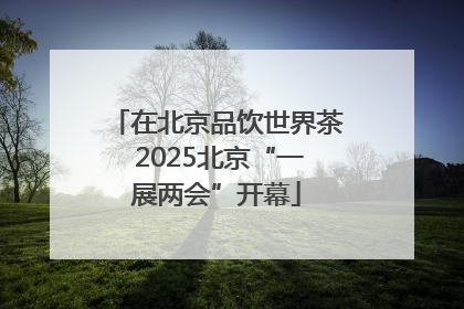 在北京品饮世界茶 2025北京“一展两会”开幕