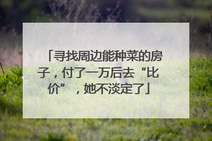 寻找周边能种菜的房子，付了一万后去“比价”，她不淡定了