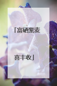 富硒紫麦喜丰收