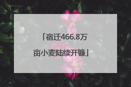 宿迁466.8万亩小麦陆续开镰