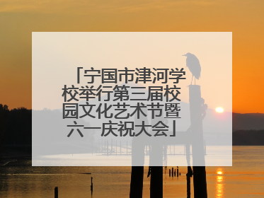 宁国市津河学校举行第三届校园文化艺术节暨六一庆祝大会