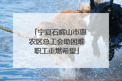 宁夏石嘴山市惠农区总工会助困难职工重燃希望