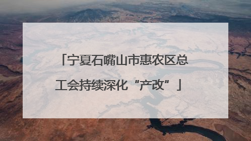 宁夏石嘴山市惠农区总工会持续深化“产改”