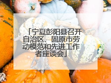 宁夏彭阳县召开自治区、固原市劳动模范和先进工作者座谈会