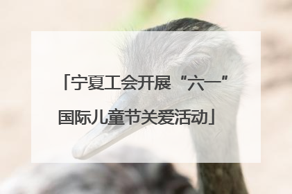 宁夏工会开展“六一”国际儿童节关爱活动