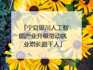 宁夏银川人工智能产业升级带动就业增长超千人